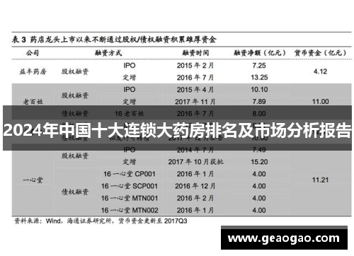 2024年中国十大连锁大药房排名及市场分析报告