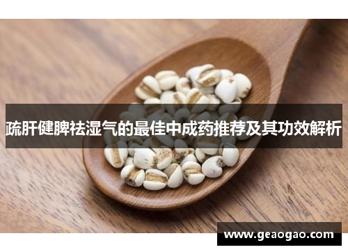 疏肝健脾祛湿气的最佳中成药推荐及其功效解析