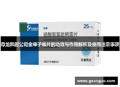 尊龙凯时公司金嗓子喉片的功效与作用解析及使用注意事项