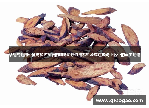 柴胡的药用价值与多种疾病的辅助治疗作用解析及其在传统中医中的重要地位